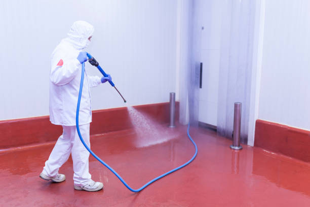 Trusted Wayne Heights, PA Pressure Washing Services Experts
